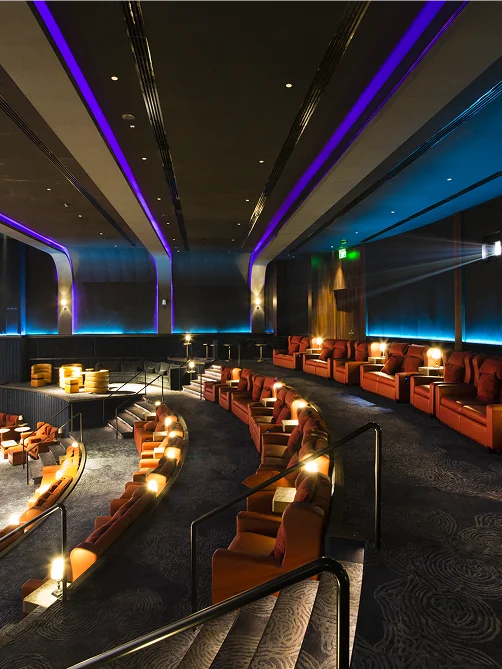 The private cinema at The Camellias
