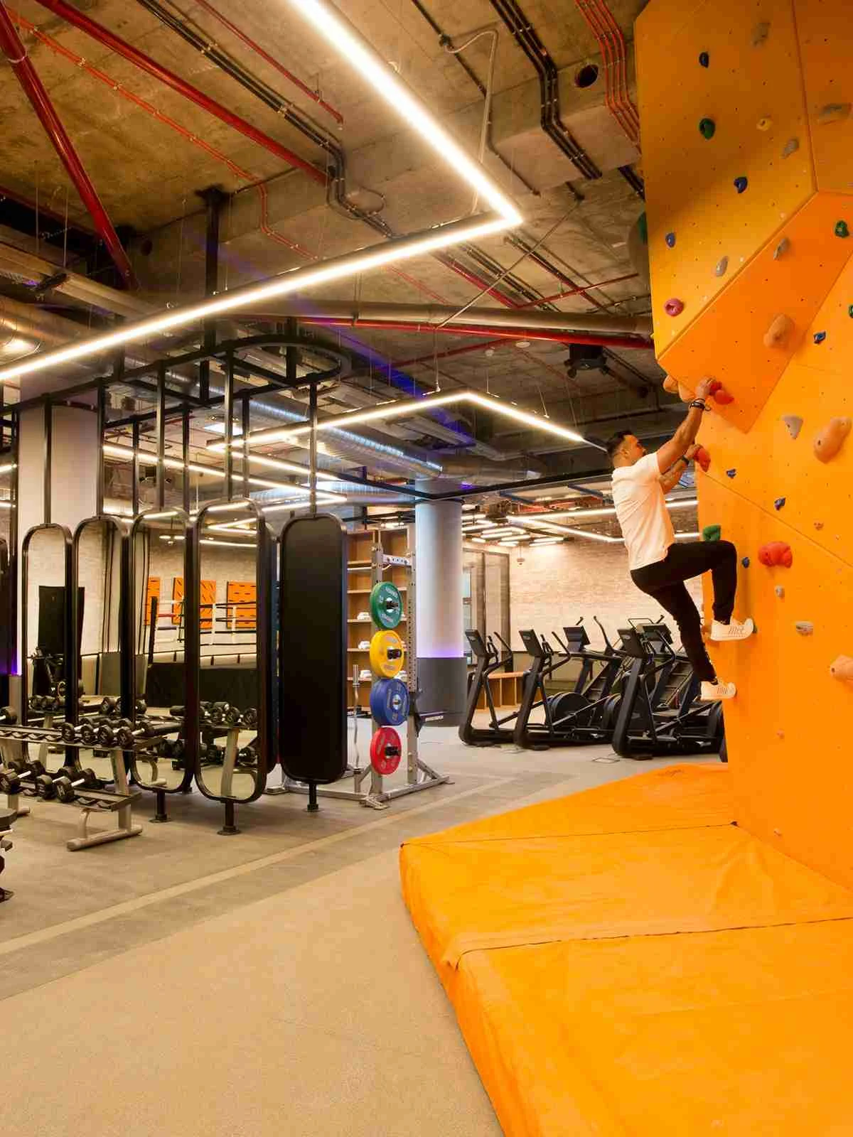 Fitness & climbing at The Camellias